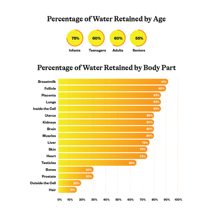 chart of percentage of water retained by age